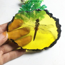 琥珀蜜蜡原石虫珀真昆虫标本工艺品蝴蝶客厅摆件虫珀蜻蜓蝎子金蝉