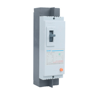 Chint Leakage Circuit Breaker DZ15LE-100/2901 2p 100A/80A/63A Single Phase Leakage Protection