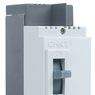 Chint Leakage Circuit Breaker DZ15LE-40/2901 2p 40A/32A/20A Single Phase Two Wire