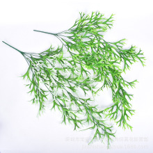 ����¹�ǲݒ� �Ƶ�ܛ�b�b�픷���ֲ�ﴹ�� ���ϼٻ�¹��ާ�ڒ�