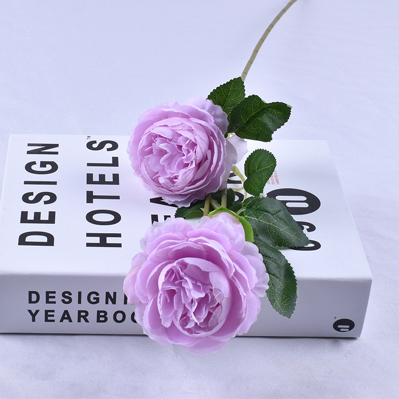 3 peonía extranjera púrpura claro