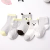 Gray bear