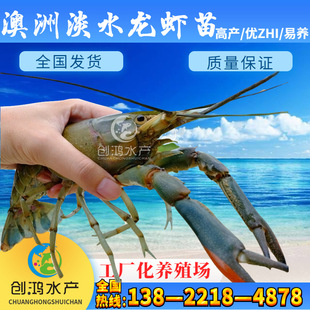 �F�繩�� ���޵�ˮ���r�� ���r�~�� �r���Bֳ �������r�繩��