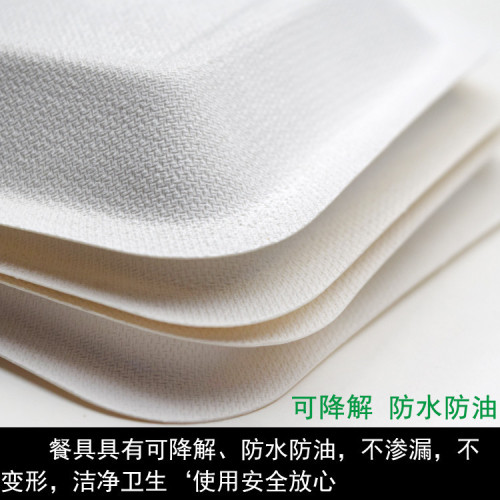 Edible sugarcane pulp biodegradable square disposable birthday cake plate wholesale tray 21 guest same bottom tray