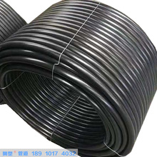 SNPEо32 ɫȫ F؛ |oо܏S