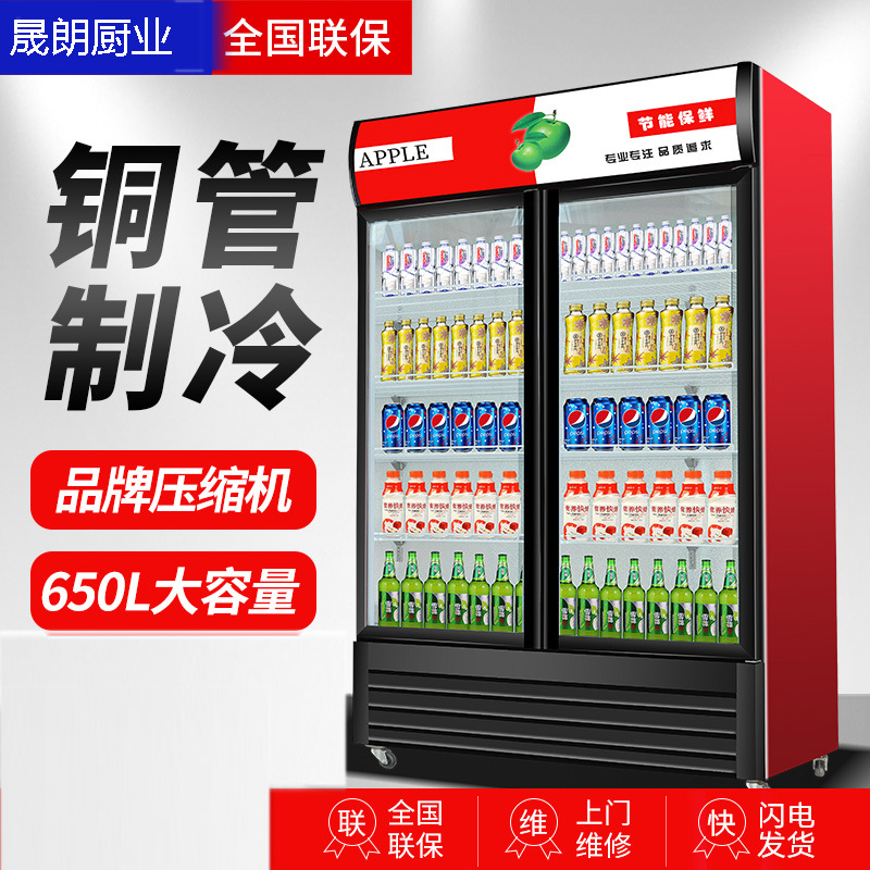 商用立式双门展示柜水果保鲜柜冰箱冰柜啤酒柜冷藏柜饮料柜