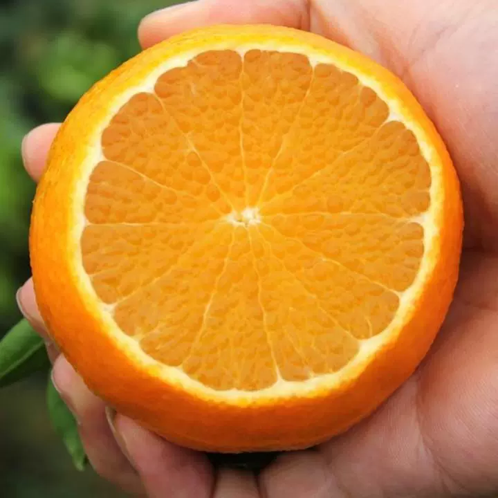 [Основной производственный район - SF Express] Апельсины-желе №38 из Мэйшань, провинция Сычуань, микропродукт высшего качества, свежесобранные и немедленно отправленные