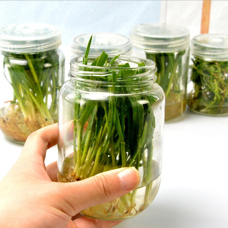 供应240ml350ml650ml770ml密封透气盖大小口 菌种组培玻璃瓶育苗