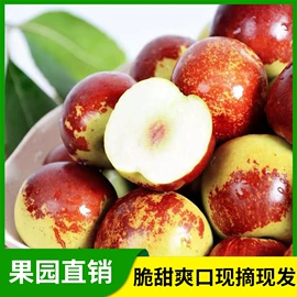 苹果;番石榴/芭乐;瓜果类