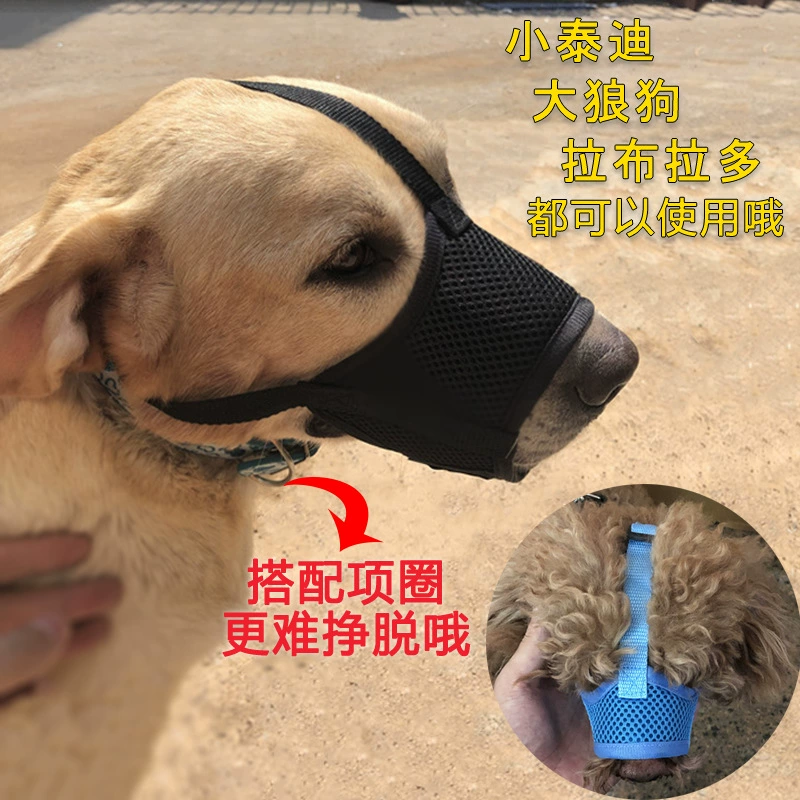 Рукав для рта собаки Маленькая и средняя собака Анти-укусы, анти-лай и анти-неизбирательное поедание Рукав для рта Золотистый ретривер Рукав для рта для большой собаки
