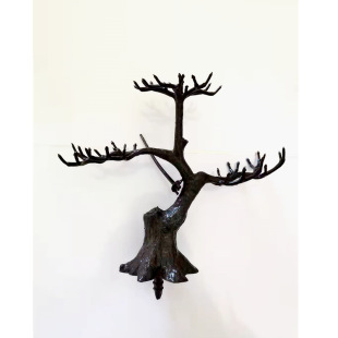 �x���S���¿��p��ӭ�����辰���Ԙ�֦����ֲ���Gɫ�b�ˇƷ