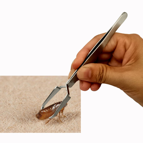 Stainless steel pet tick removal tweezers pet dog tick clip cat flea tool pet tick extractor