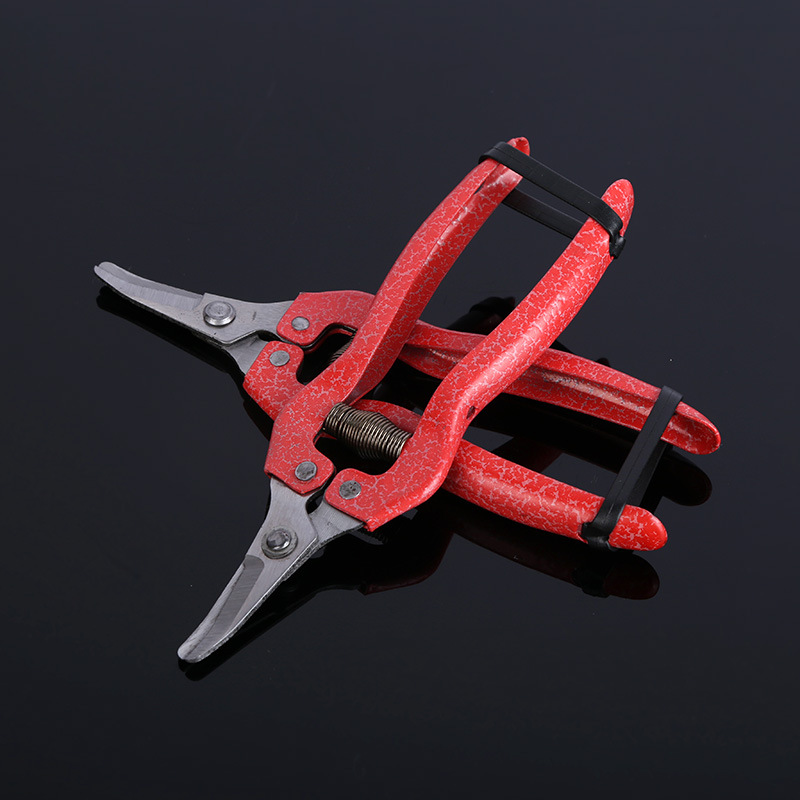 批发锰钢刀头 喷塑翘头采果剪采摘瓜果剪 果园采摘稀果剪刀