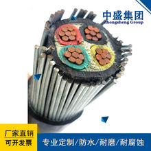 ��ʢ��|��ȼ�ͼ�䓽z�z�bӋ��C��|ZR-JYVRP32 2*1.5