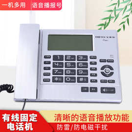 现货批发宝泰尔T263固定座机 家用办公大屏幕 语音报号老人电话机