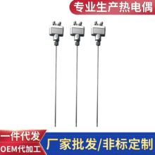 扁头热电偶 陶瓷铂铑热电偶 不锈钢扁头铠装热电偶