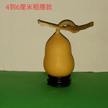 ��Ȼ���J С���J4-6���״������J �m���ֹ����� �Ӯ���