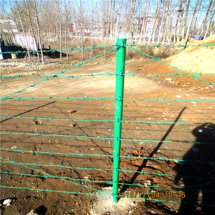 包塑刺绳  浸塑刺绳立柱   48*2100mm刺绳柱 9钩子刺绳隔离栅立柱