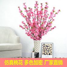 �����һ� �һ�֦����÷��֦�٘�֦���һ���c�b�֧���ϻ����l