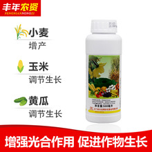 大光明天丰素0.01%芸苔素玉米新型绿色水果蔬菜调生长增产剂500ml