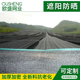 农用遮阳网;其他塑料网;遮阳网