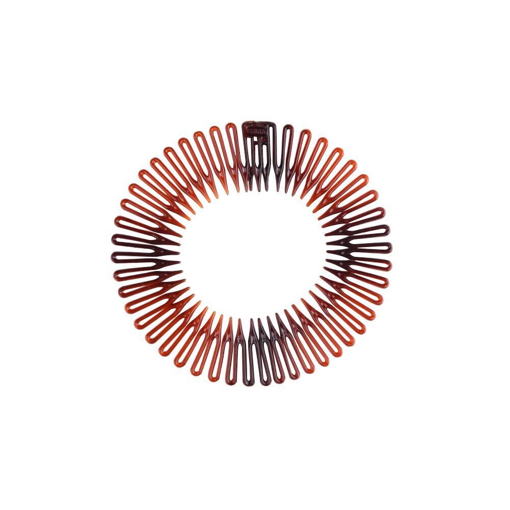 Lacquer tortoise