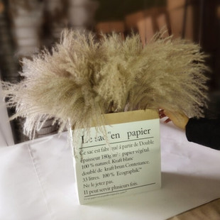 Natural Reed Dried Flower Factory Dust Flower Amazon Cross-border Supply Dried Flower Reed Net Red Eternal Flower Wholesale
