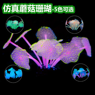 ܛ�w����ɺ�������ϼ�ɺ�� ܛ�w�b��~��ˮ���쾰 ���F���֬ɺ��