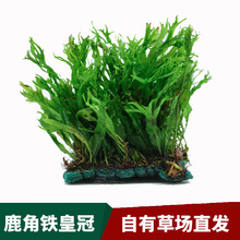 �݈����l�~���^�p¹���F�ʹ� ˮ�����쾰���w���к�ˮ�ݻʹ��