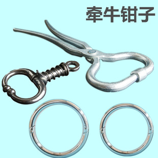 �Ԅӏ���ţ���Qţ��Ȧ���P�ţ�ǭh˩ţȦţ����ţ��������ţ����