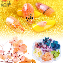 跨境货源美甲新款饰品盘装双色渐变色彩晕染干花唯美枫叶秋冬季系