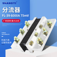 FL-39 6000A75mV ⸽ ֱ 0.5i~