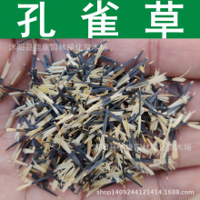 ݻ ȸݷN ջ Сf۾շN ƷNͻɫSC 1=1