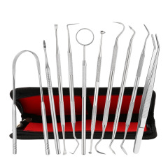 Factory Stainless Steel Dental Tools 11-Piece Set, Dental calculus probe, flosser, teeth care cleaning tools