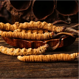 燕窝;其他滋补;参类滋补品