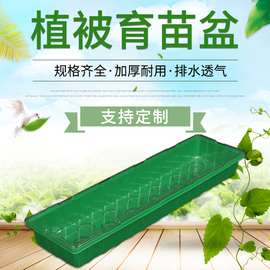 厂家供应育苗盆 长方形芽苗菜育苗盘 两件套育苗箱 批发绿植