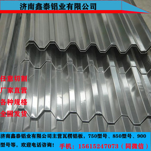 ���I���B  ��� ���� ���� ��850  0.8mm ���� �ԃr�ȸ�