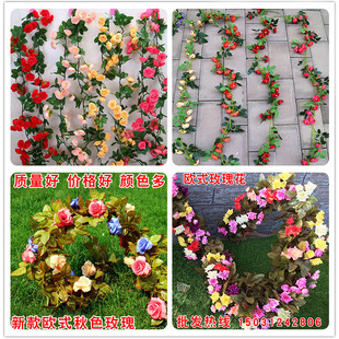 ̎��  �Wʽ ��ɫ ���{�ܵ��bٻ� ����õ�廨�� ���l