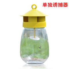 果蠅誘捕器 果蠅誘捕劑 瓜實蠅誘捕器 瓜果實蠅誘劑 粘蠅粘板果園