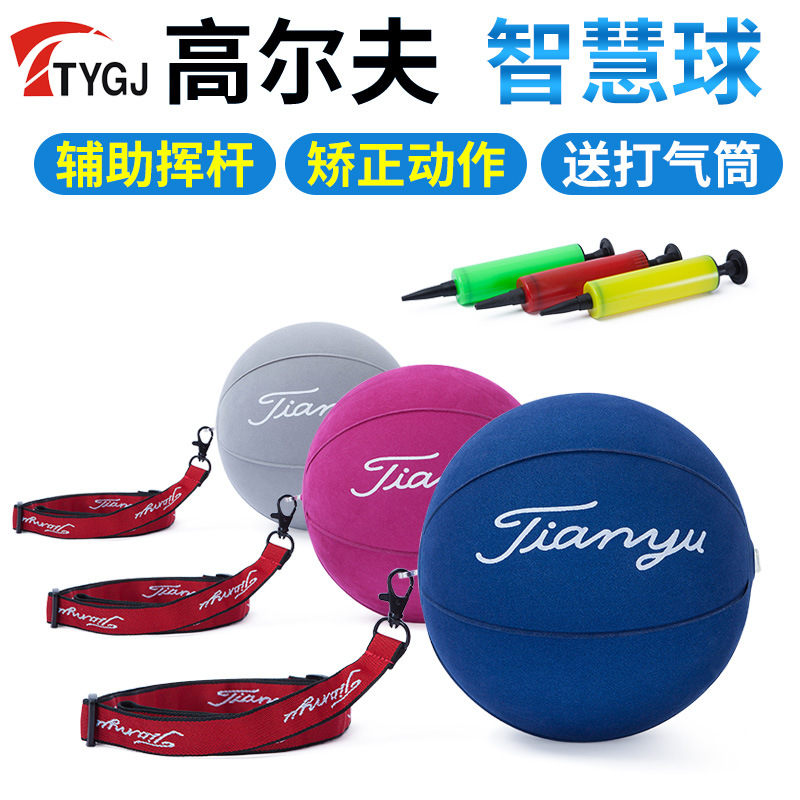TTYGJ Golf sabiduría bola swing entrenador brazo corrector auxiliar corrección entrenador