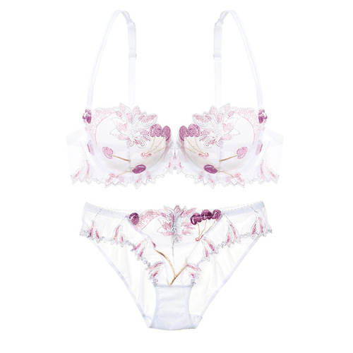 New European and American sexy underwear transparent mesh embroidered bra set drop shipping