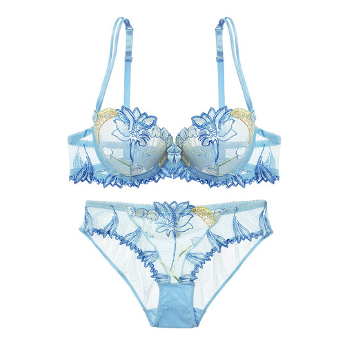 New European and American sexy underwear transparent mesh embroidered bra set drop shipping