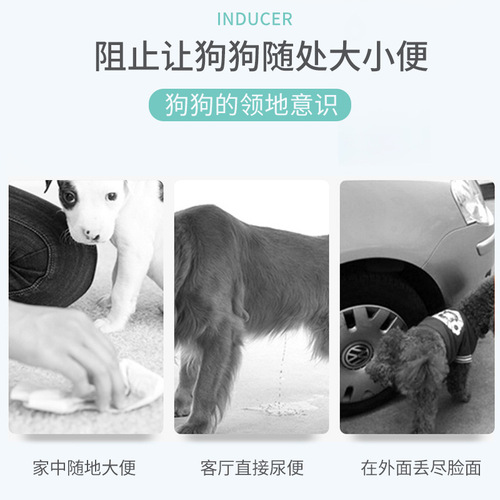 Factory direct selling pet defecation inducer 120ml dog and cat toilet inducer toilet positioning toilet training spray