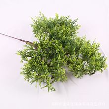 ���°� ��Ʒӭ���������ɷ����ɘ��~�쾰�°���֦�b��~�ɰ��~