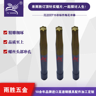 �S�ҹ������ģ����� ��׼T15/T20 ��������÷���_�� ÷��ģ��