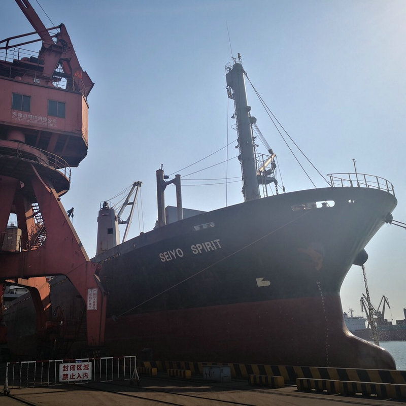 ������Ӧ���۵��񻧸� �����պ����ʺ���������������