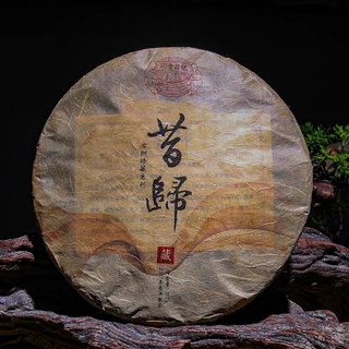 云南普洱茶熟茶饼茶昔归古树熟茶普洱饼357g熟普厂家批发临沧茶区
