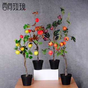 ʯ����������O�����ӟo�����ֹ��廨�[�O�҃��쾰�b������