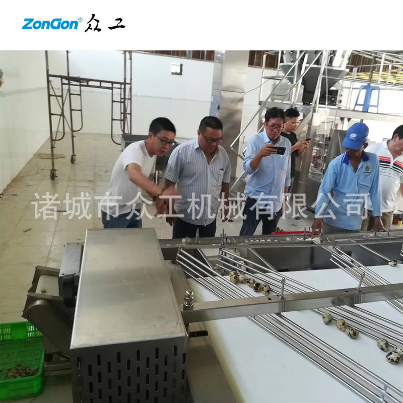 Quail egg production line equipment egg products processing equipment quail egg automatic peeling line