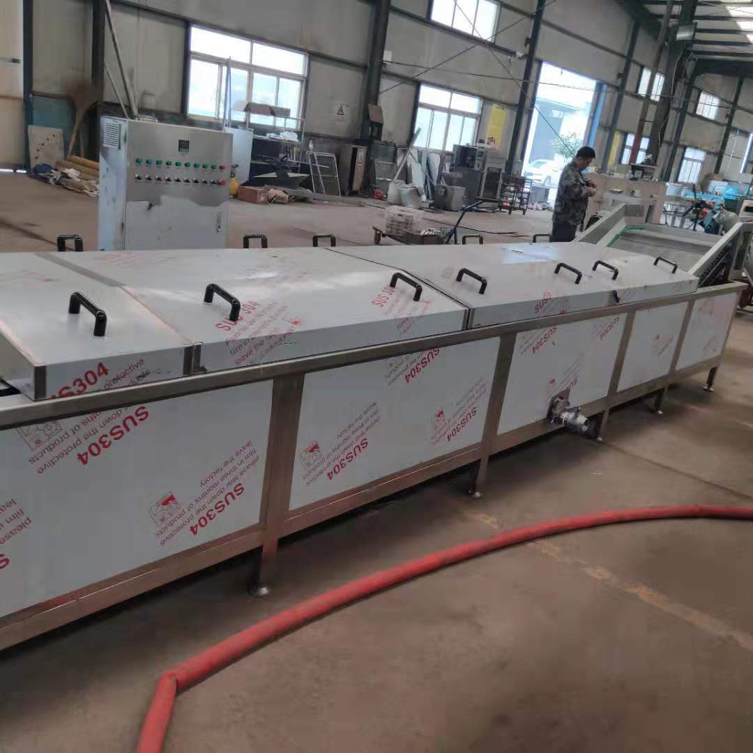 蘑菇杀青机  果蔬漂烫 机 海蛎子蒸煮机  连续式蒸煮设备温度可控